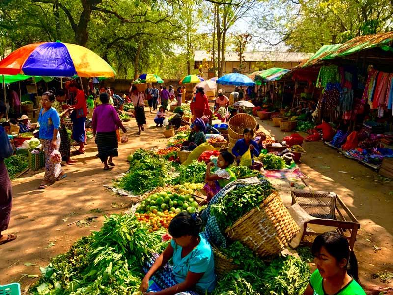 The Busy Shoppers in Colourful Market.